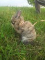 /album/fotogaleria/a20130925-172446-jpg/
